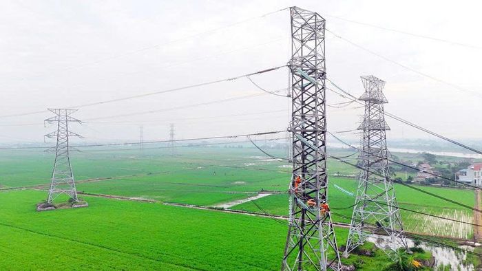 TTĐ Tây Bắc 2 thi công tại vị trí cột 111, đường dây 220kV Nhiệt điện Thái Bình 2 - Trực Ninh