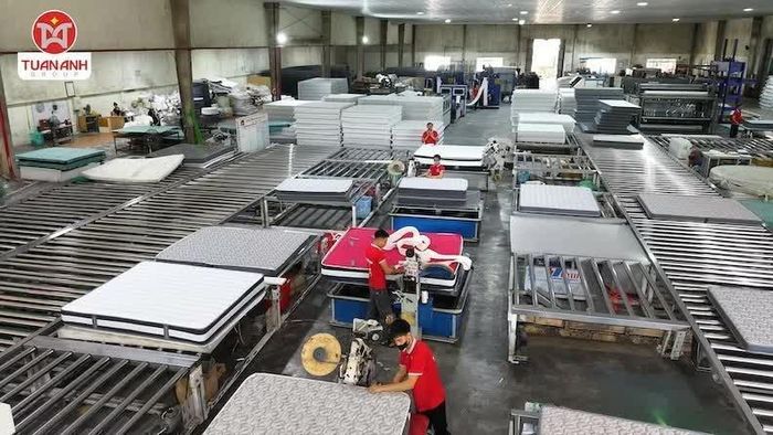Công ty sở hữu tổ hợp nhà máy quy mô khoảng 150.000 m2 tại Hải Phòng - Ảnh: Tuấn Anh Group
