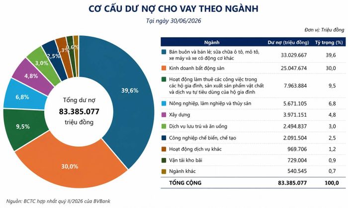  Cơ cấu dư nợ cho vay theo ngành của BVB. 
