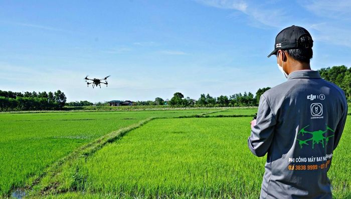  Drone đã được ứng dụng trong gieo sạ, bón phân và phun thuốc bảo vệ thực vật trên diện tích hơn 42.000 ha. 