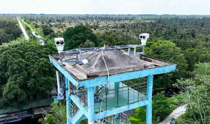  Camera AI cảnh báo sớm nguy cơ cháy rừng, phá rừng hoặc các diễn biến bất thường của thiên tai. 