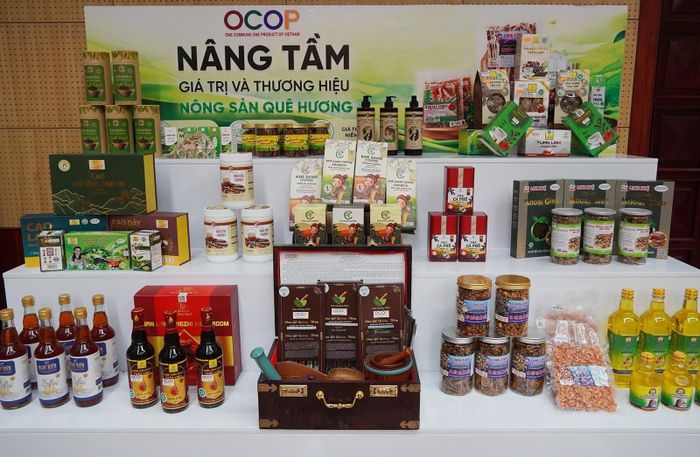  Gần 300 sản phẩm OCOP đã được đưa lên các sàn thương mại điện tử, mở thêm kênh quảng bá và tiêu thụ cho sản phẩm cho địa phương. 