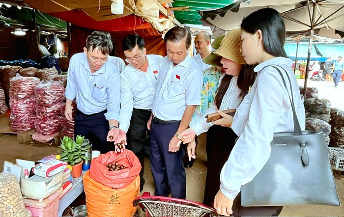 Đoàn giám sát của Thường trực HĐND TP. Hồ Chí Minh kiểm tra công tác an toàn thực phẩm tại chợ Chợ đầu mối Nông sản Thực phẩm Hóc Môn. Ảnh: Ngọc Xuân