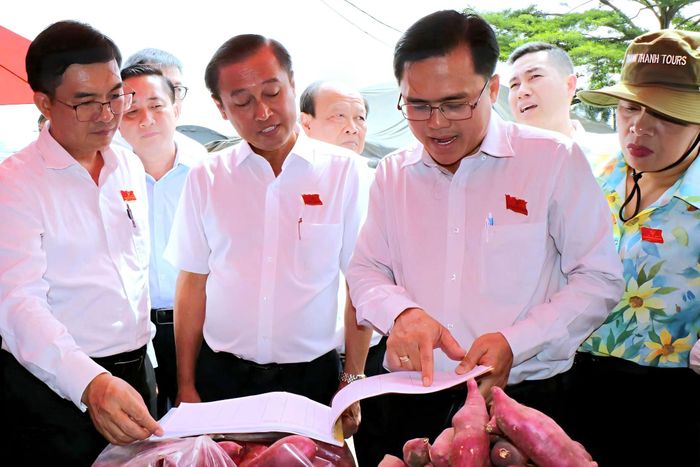 Đoàn giám sát kiểm tra thực tế Chợ đầu mối Hóc Môn. Ảnh: Ngọc Xuân