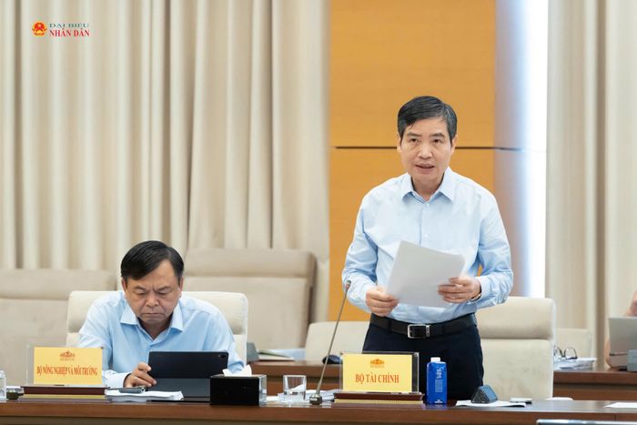 Thứ trưởng Bộ Tài chính Tạ Tuấn Anh trình bày Tờ trình của Chính phủ