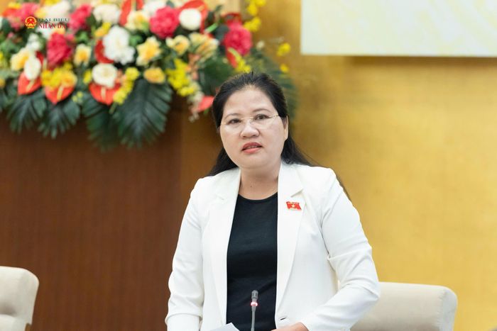 Phó Chủ tịch Hội đồng Dân tộc Đinh Thị Phương Lan phát biểu