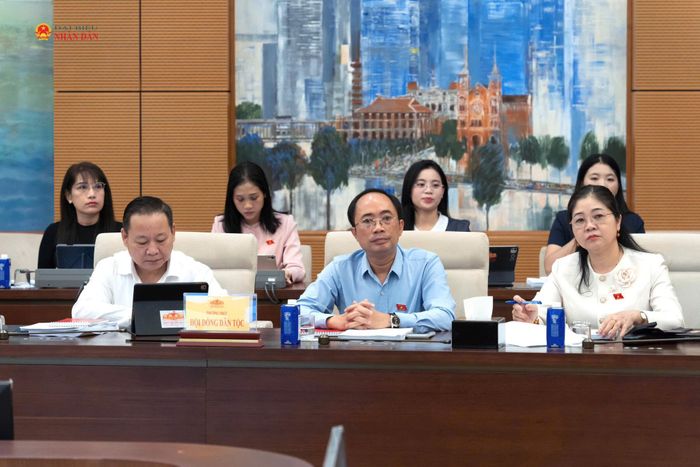 Các đại biểu tham dự Phiên họp