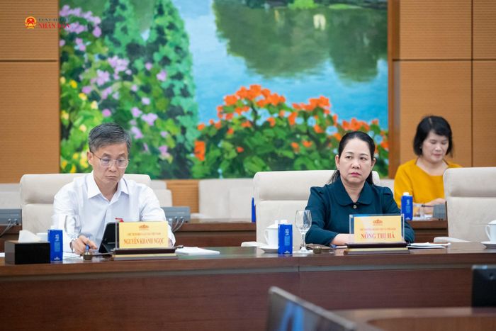Các đại biểu tham dự phiên họp