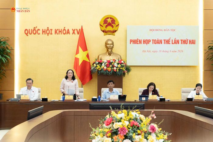 Phó Chủ tịch Hội đồng Dân tộc Trần Thị Hoa Ry trình bày dự thảo Báo cáo thẩm tra. Ảnh: Lâm Hiển