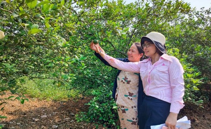 Thêm nguồn lực, góp phần đưa tín dụng chính sách đến gần người dân.