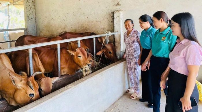 Doanh số cho vay 6 tháng đầu năm 2026, của NHCSXH Chi nhánh Nghệ An, tăng 41,3% so với cùng kỳ năm trước, đây là mức tăng cao nhất từ trước đến nay.