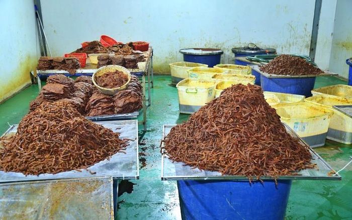 Công an Đồng Nai thu giữ hơn 2 tấn thịt khô nghi giả khô bò của Công ty TNHH Trần Lê Foods.