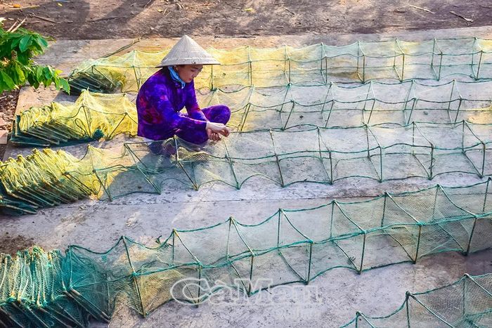Lú bát quái (lồng xếp) là ngư cụ nằm trong danh mục cấm sử dụng để khai thác thuỷ sản.