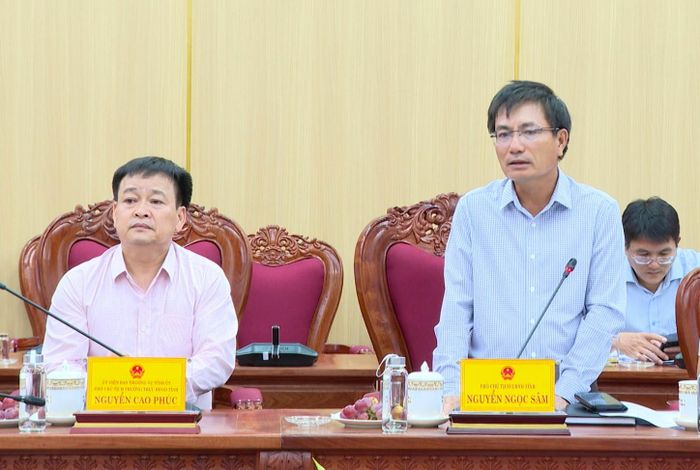 Phó Chủ tịch UBND tỉnh Nguyễn Ngọc Sâm phát biểu tại hội nghị. Ảnh: UBND tỉnh Quảng Ngãi
