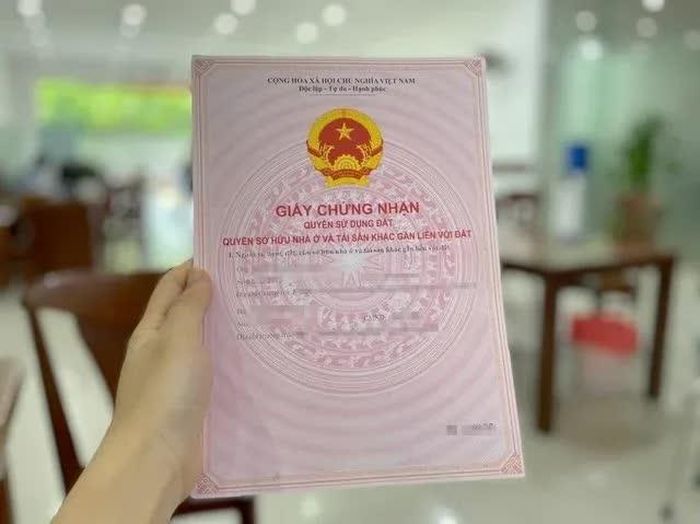 Công ty Bemes đã bán 519 căn hộ cho 519 khách hàng. Những căn hộ này sau đó không được Nhà nước cấp giấy chứng nhận.