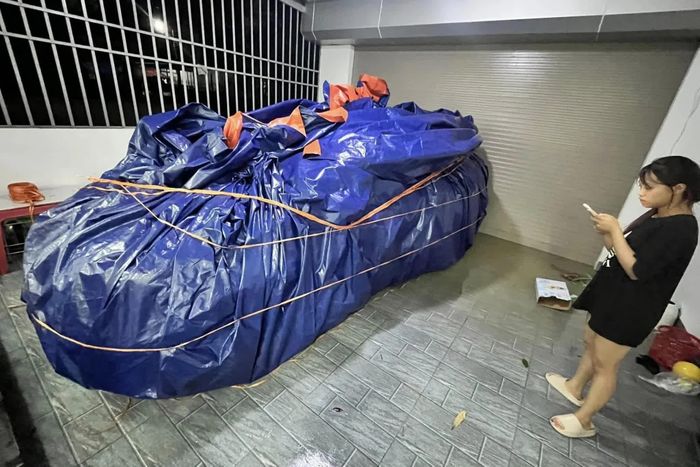 Các gia đình ở thành phố nên kiểm tra khu vực tầng hầm, chỗ để xe và hệ thống thoát nước.