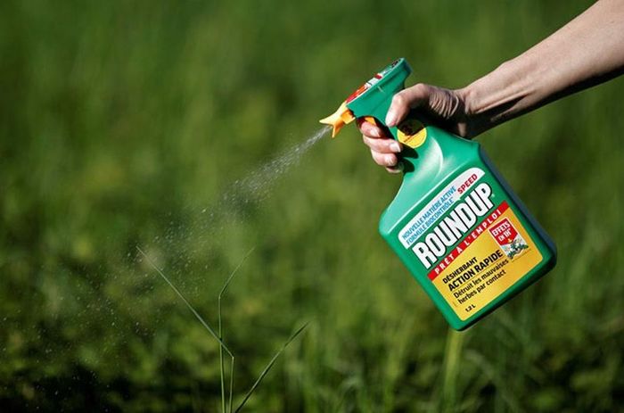 Do tiêu chuẩn giữa các quốc gia có thể khác nhau, doanh nghiệp cần kiểm soát quy trình sử dụng glyphosate từ đồng ruộng đến khâu thu hoạch, bảo quản và xuất khẩu