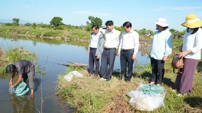 Triển khai mô hình xen canh lúa - tôm tại xã Đan Điền, Tp. Huế