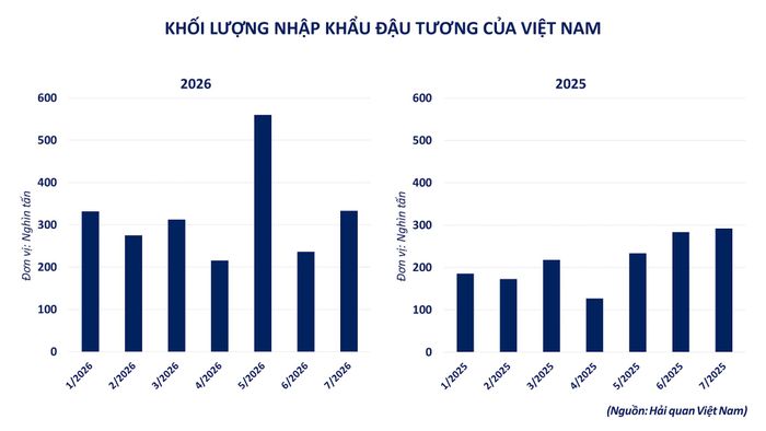 Khối lượng nhập khẩu đậu tương của Việt Nam. Nguồn: MXV