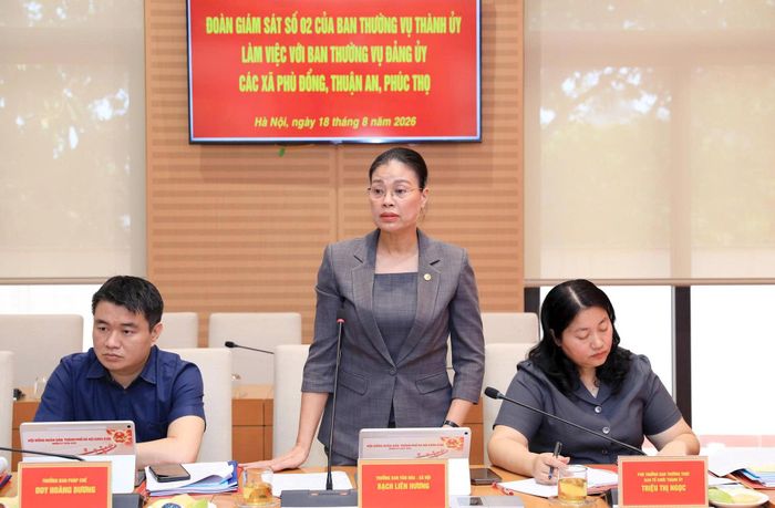Thành viên đoàn giám sát nêu một số nội dung đề nghị các xã làm rõ thêm. Ảnh: Lê Hải