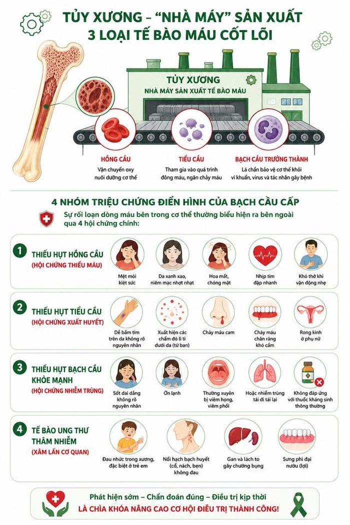 4 nhóm triệu chứng điển hình của bạch cầu cấp. Ảnh: Bệnh viện TWQĐ 108.