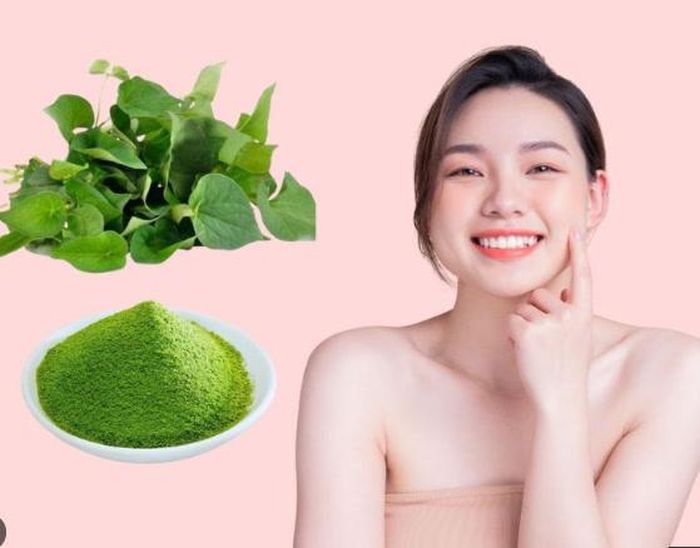 Không chỉ là một loại rau sống bổ dưỡng, dễ tìm, diếp cá là loại thảo dược lành tính quen thuộc có khả năng chống nhiễm khuẩn, giúp nâng cao sức đề kháng, cho da.