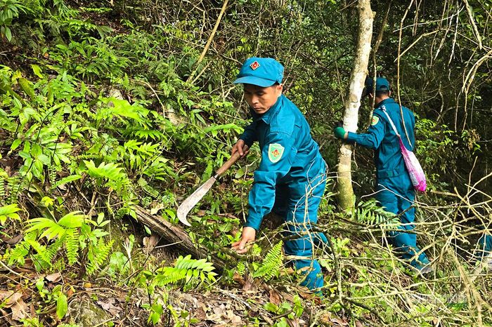 Dân quân phát quang cây rừng, mở lối tiếp cận khu vực nghi vấn. Ảnh: Tuấn Anh