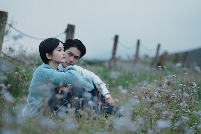 Võ Điền Gia Huy có ánh mắt biết nói, giàu cảm xúc.