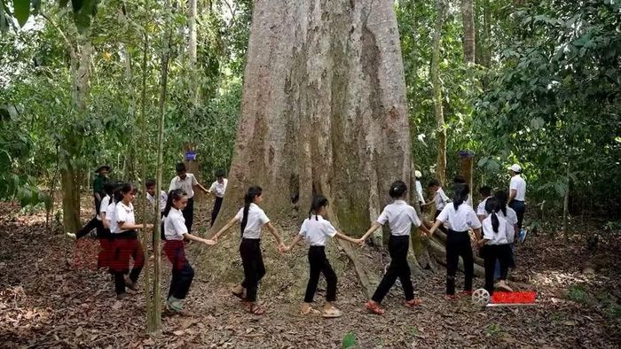 Những thước phim gửi gắm thông điệp về màu xanh Mã Đà hôm nay được gìn giữ bởi nhiều thế hệ (ảnh: Điên ảnh QĐND)