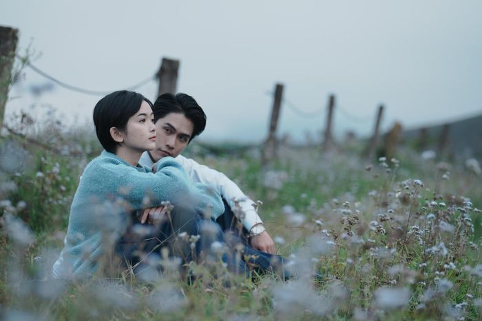 HÌnh ảnh trong MV "Gói con tim làm quà" do nhạc sĩ, ca sĩ Nguyễn Hùng thể hiện vừa ra mắt công chúng.