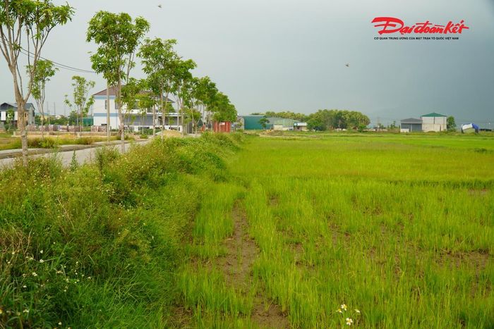 Ngoài 2 lô tạm dừng thì 13 lô đất đấu giá lần đầu không có người đăng ký đấu giá. Ảnh: Hạnh Nguyên.