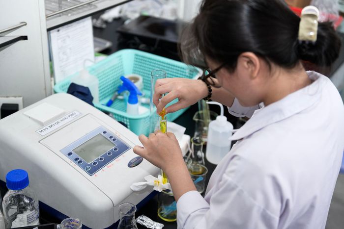 Đề án mới sẽ tuyển chọn người học theo hình thức cạnh tranh, công khai trên toàn quốc. Ảnh minh họa: Duy Hiệu.