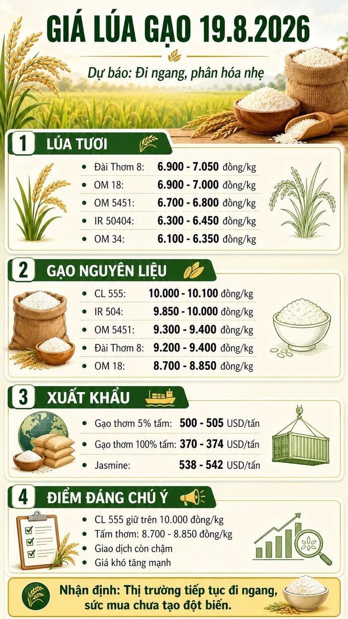 Các mức giá ngày 19.8.2026 trong phần dự báo là vùng tham khảo dựa trên diễn biến thị trường ngày 18.8.2026. Giá thực tế có thể thay đổi theo địa phương, chất lượng hàng và thời điểm giao dịch.