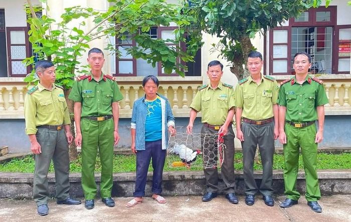Người dân tự nguyện giao nộp gà lôi trắng quý hiếm cho cơ quan chức năng. Ảnh: Công an xã Mường Chà