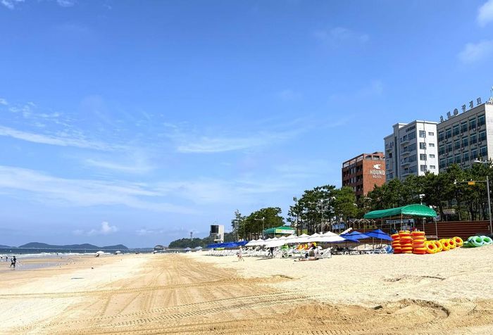 Bãi biển Daecheon ở thành phố Boryeong, tỉnh Chungcheongnam, Hàn Quốc, thu hút du khách với bãi cát trải dài và không gian ven biển thoáng đãng. Ảnh: Nhật Hưng – Pv TTXVN tại Hàn Quốc