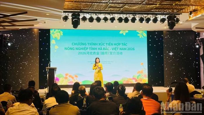 Chương trình thu hút đông đảo đại biểu hai bên tham gia. (Ảnh: HNV)