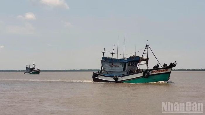 Tây Ninh đặt mục tiêu đến trước ngày 10/9/2026 xác định rõ tình trạng và biện pháp quản lý đối với toàn bộ 82 tàu chưa đủ điều kiện hoạt động.