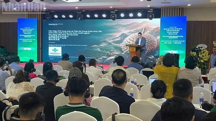 Các doanh nghiệp Trung Quốc trình bày về thúc đẩy phát triển chất lượng cao toàn chuỗi toàn ngành hàng sầu riêng giữa Việt Nam-Trung Quốc. (Ảnh: Nguyễn Công Lý)