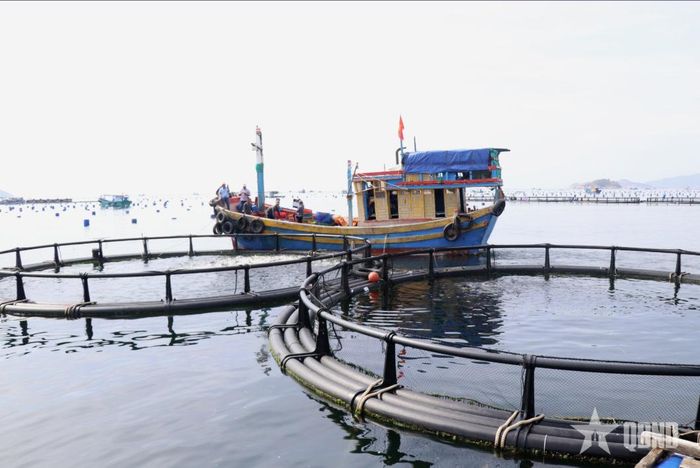 Nuôi biển công nghệ cao tại vùng biển Cam Ranh, tỉnh Khánh Hòa. Ảnh: ĐẶNG TUẤN