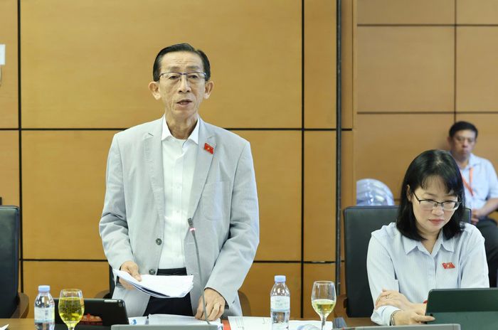 ĐB Trần Hoàng Ngân phát biểu tại thảo luận tổ. Ảnh: QUANG PHÚC
