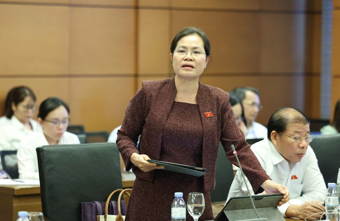  ĐB Nguyễn Thị Hồng Hạnh (TPHCM). Ảnh: QUANG PHÚC 