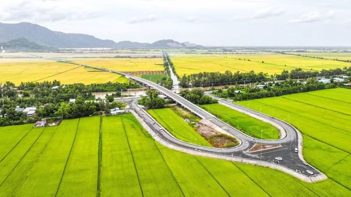 Nút giao hình chữ Y tạo nên những đường cong nổi bật giữa đồng ruộng.