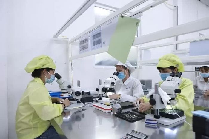 Công nhân làm việc tại Khu công nghiệp Bình Xuyên, tỉnh Phú Thọ. (Ảnh: LG)