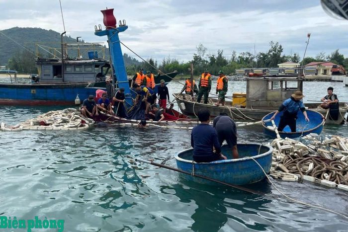 Các lực lượng trục với tàu cá. Ảnh: Võ Tiến