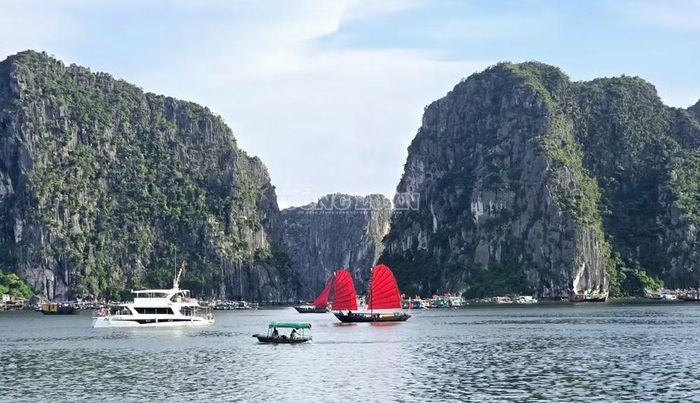 Di sản thiên nhiên thế giới Vịnh Hạ Long – tâm điểm bừng sáng của chuỗi sự kiện kích cầu và đại tiệc ánh sáng chào mừng tân thành phố Quảng Ninh.