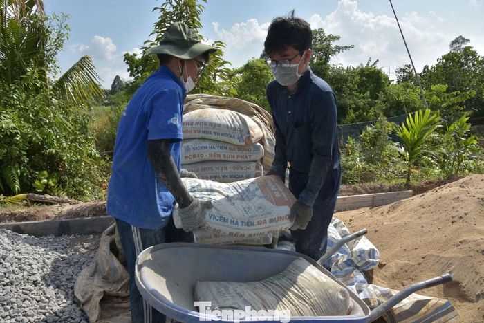 Sinh viên tình nguyện không ngại khó khăn, vất vả làm đường nông thôn.