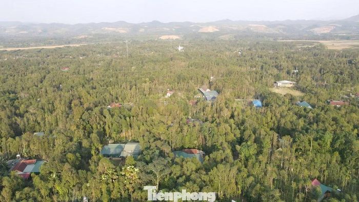 Khu vực trồng trầm của người dân Phúc Trạch, một trong những vùng nguyên liệu được Hà Tĩnh định hướng phát triển, nâng cao giá trị sản phẩm.