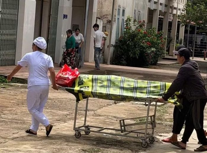Người đàn ông gặp nạn khi hái sầu riêng