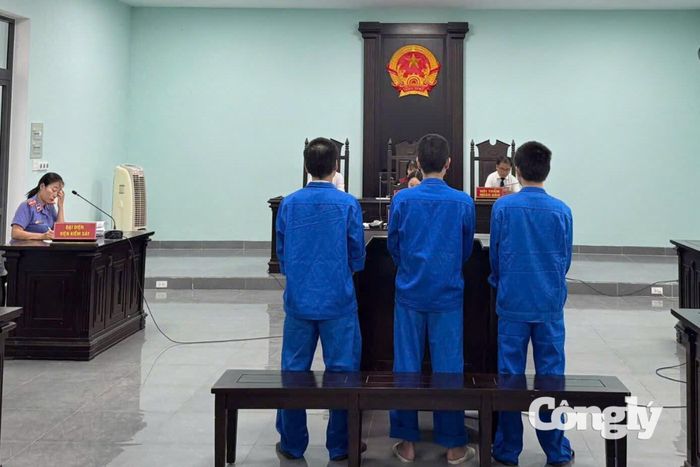 Toàn cảnh phiên tòa sơ thẩm xét xử vụ án "Mua bán, tổ chức sử dụng trái phép chất ma tuý".