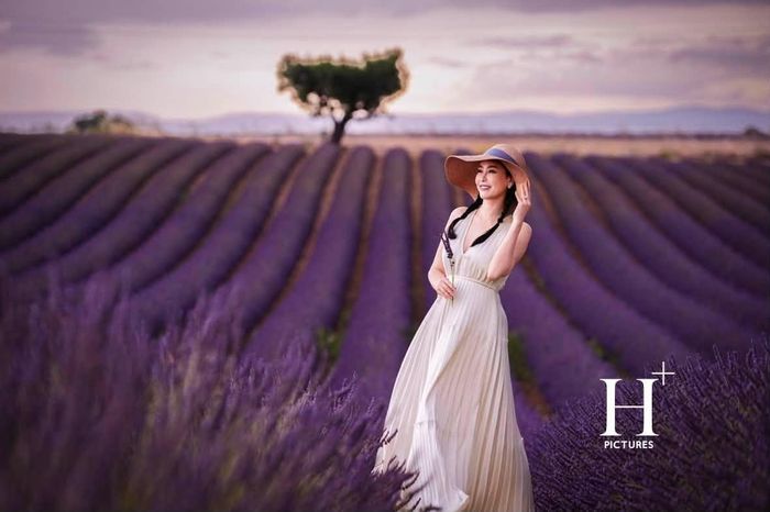 Hoa hậu Hà Kiều Anh tạo dáng bên đồng hoa oải hương, khán giả khen "đẹp như tranh".